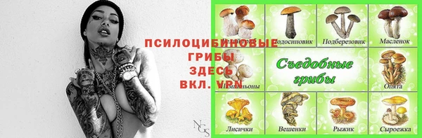 индика Зеленодольск