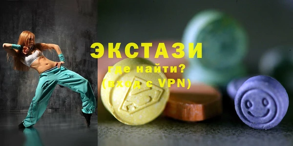 индика Зеленодольск