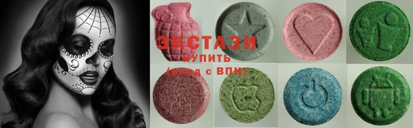 индика Зеленодольск