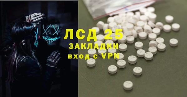 индика Зеленодольск