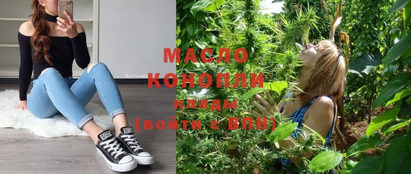 индика Зеленодольск