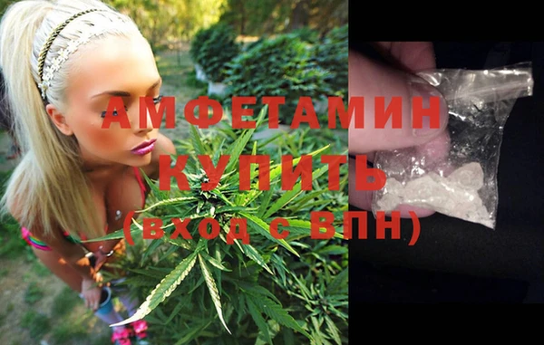 индика Зеленодольск