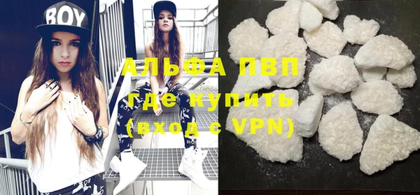 индика Зеленодольск