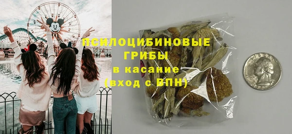 индика Зеленодольск