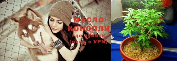 индика Зеленодольск