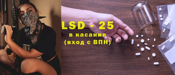 индика Зеленодольск